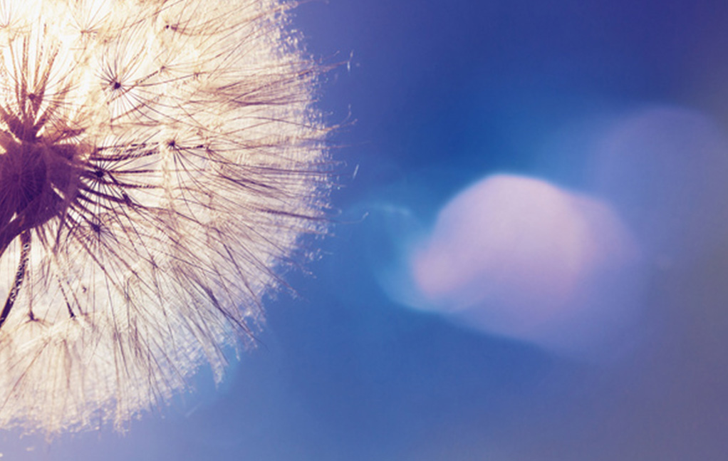 welcometo迎接惠临888集团(中国)有限公司